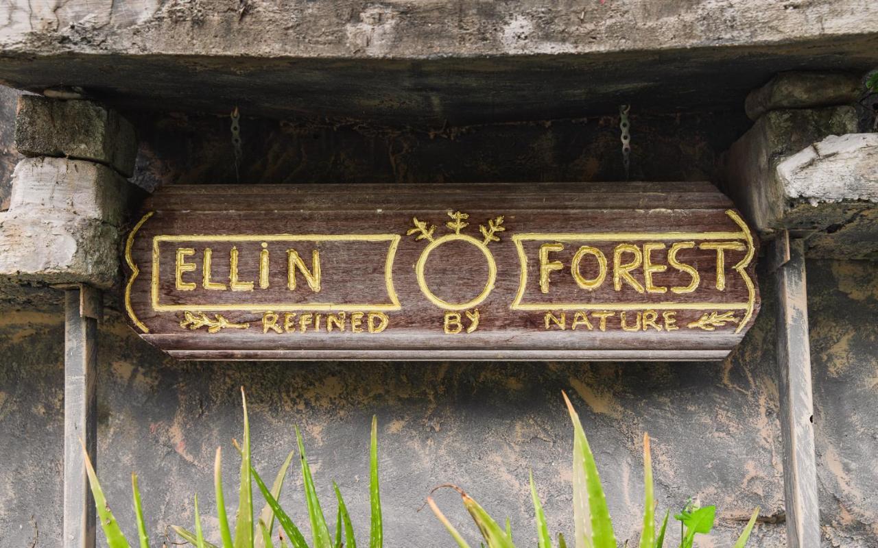 Ellin Forest Karaoke & Pool Resort Bukit Tinggi Bentong Luaran gambar